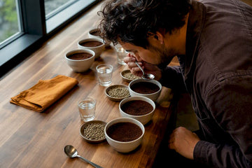 Coffee buyer evaluating anonymous origin samples