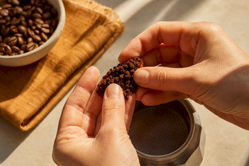 Hands checking medium-fine moka pot grounds
