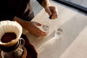 Home brewer testing water for coffee