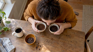 Home brewer comparing Arabica and Robusta grounds