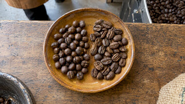 Round peaberries beside flat-sided coffee beans