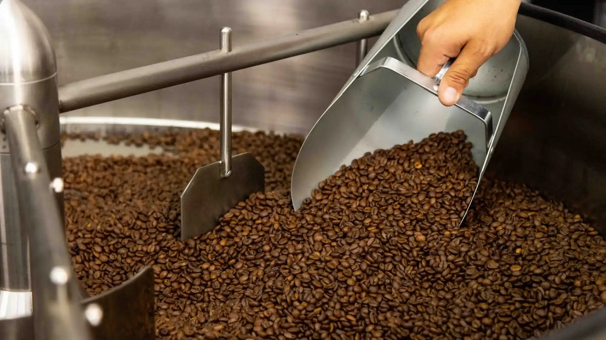 Roasted coffee beans in a cooling tray at our roasting partner's facility